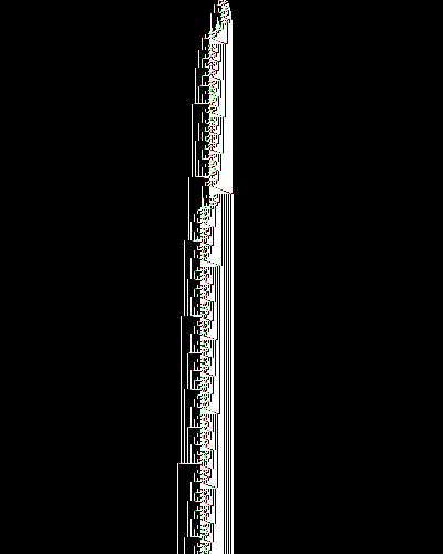 space-time diagram from the blank tape, steps 0 to 10,000