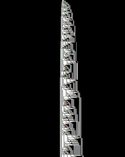 space-time diagram from the blank tape, steps 0 to 10,000