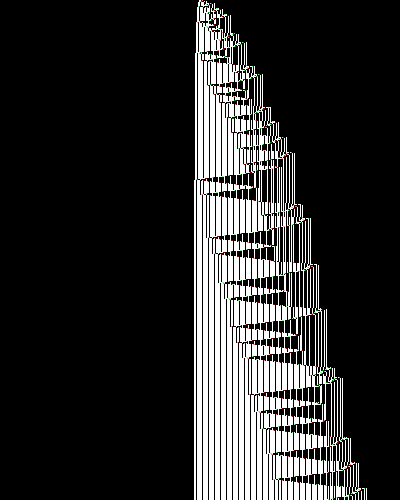 space-time diagram from the blank tape, steps 0 to 10,000
